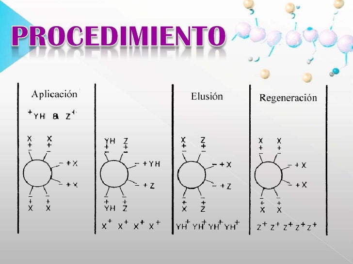cromatografia de intercambio ionico